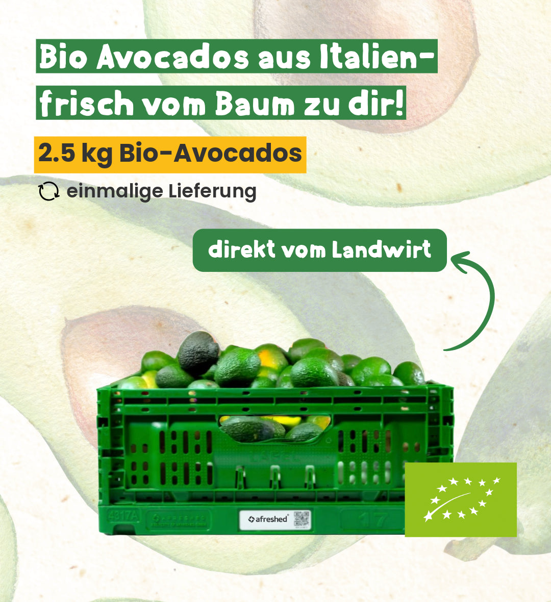 2.5 kg Bio-Avocado Kiste Basisartikel