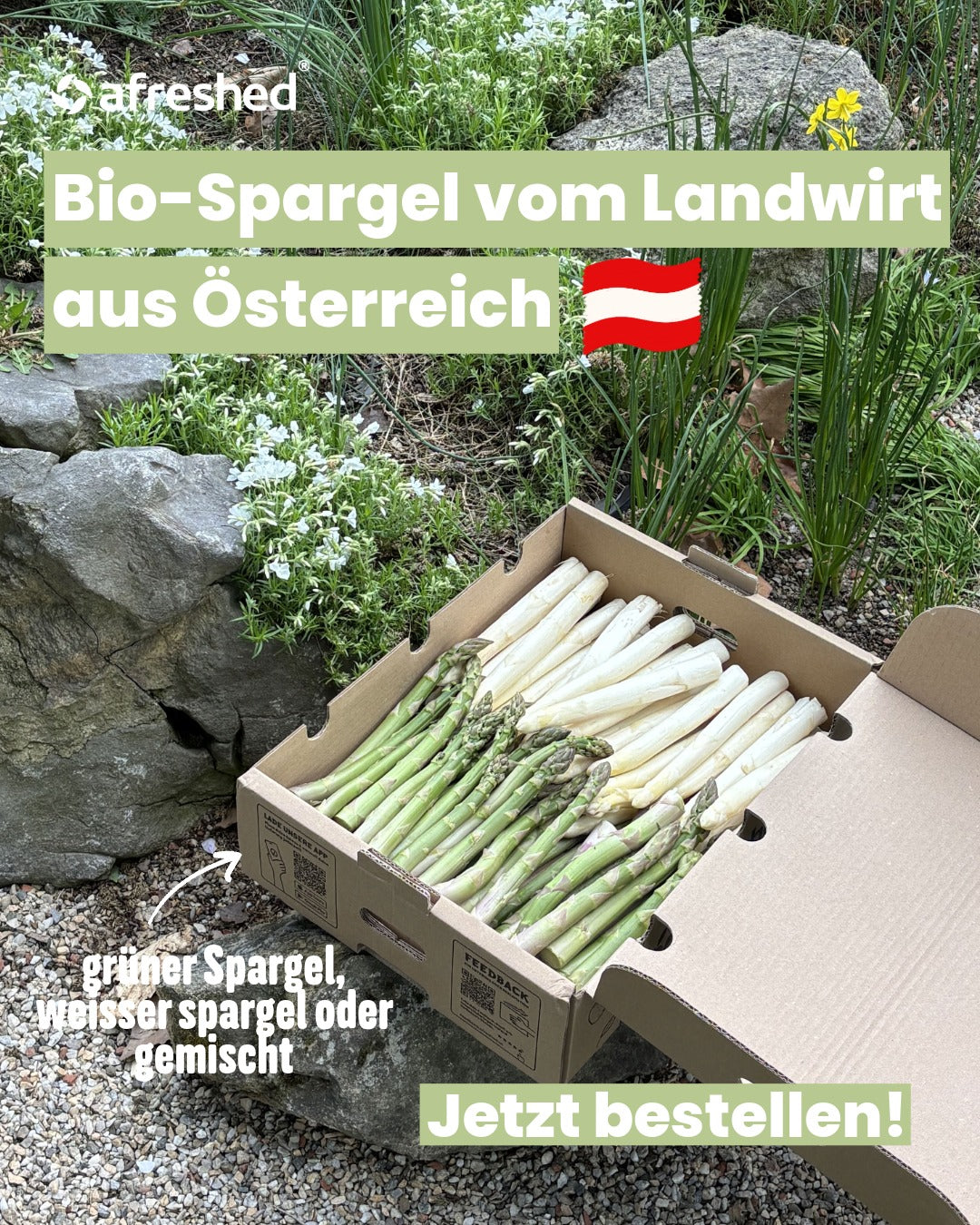 2kg Bio-Spargelkiste Mix Basisartikel