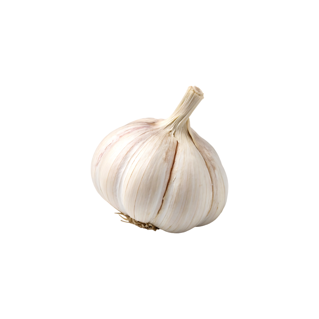 Bio-Knoblauch