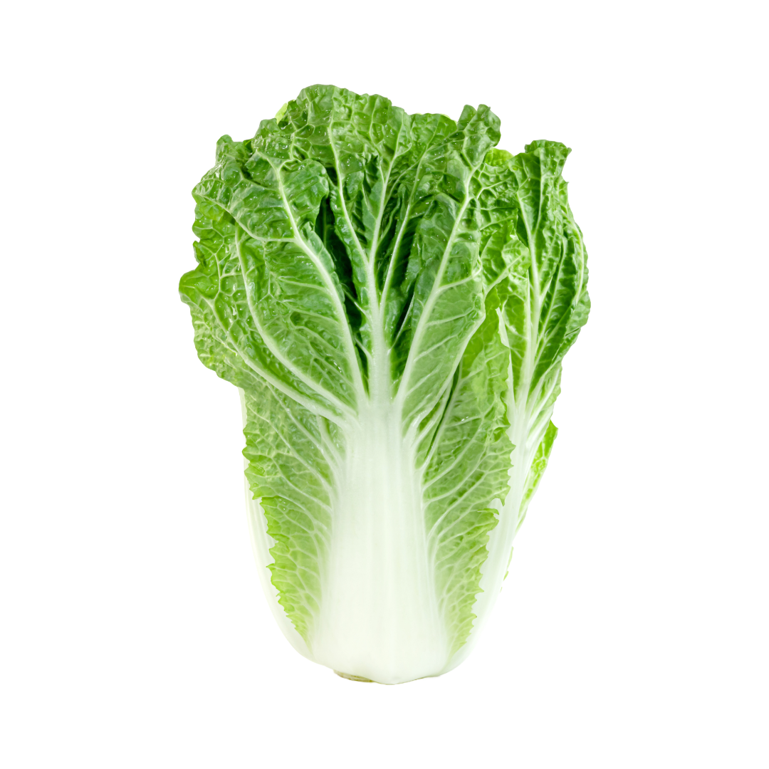 Bio-Chinakohl