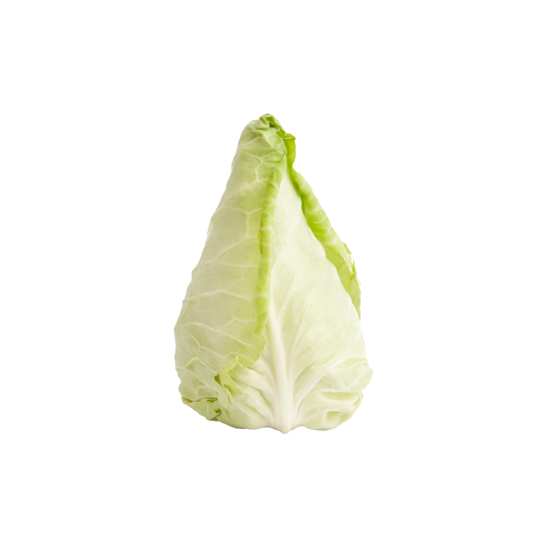 Bio-Spitzkraut