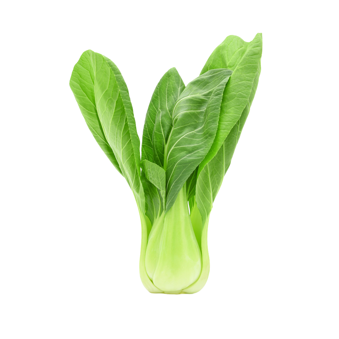 Bio-Pakchoi