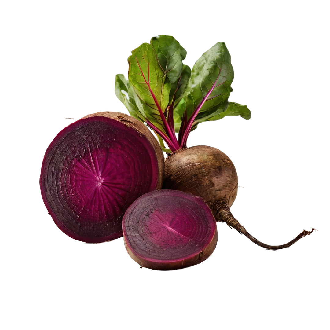 Bio-Roterübe