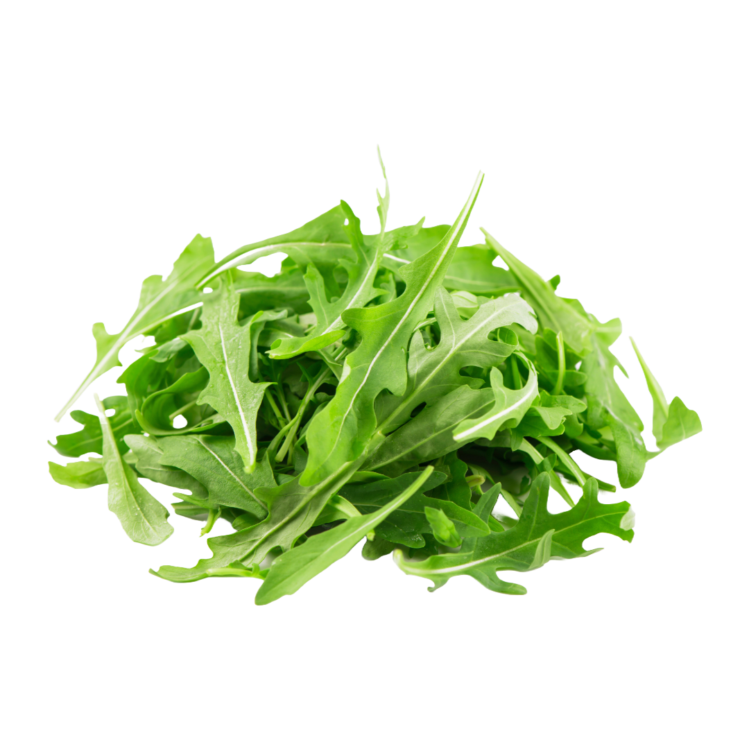 Bio-Rucola