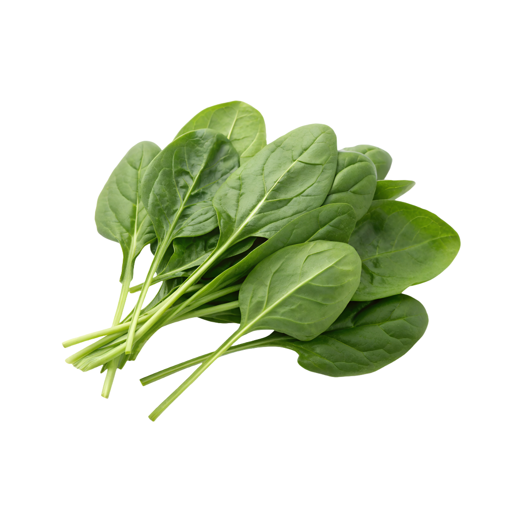 Bio-Blattspinat