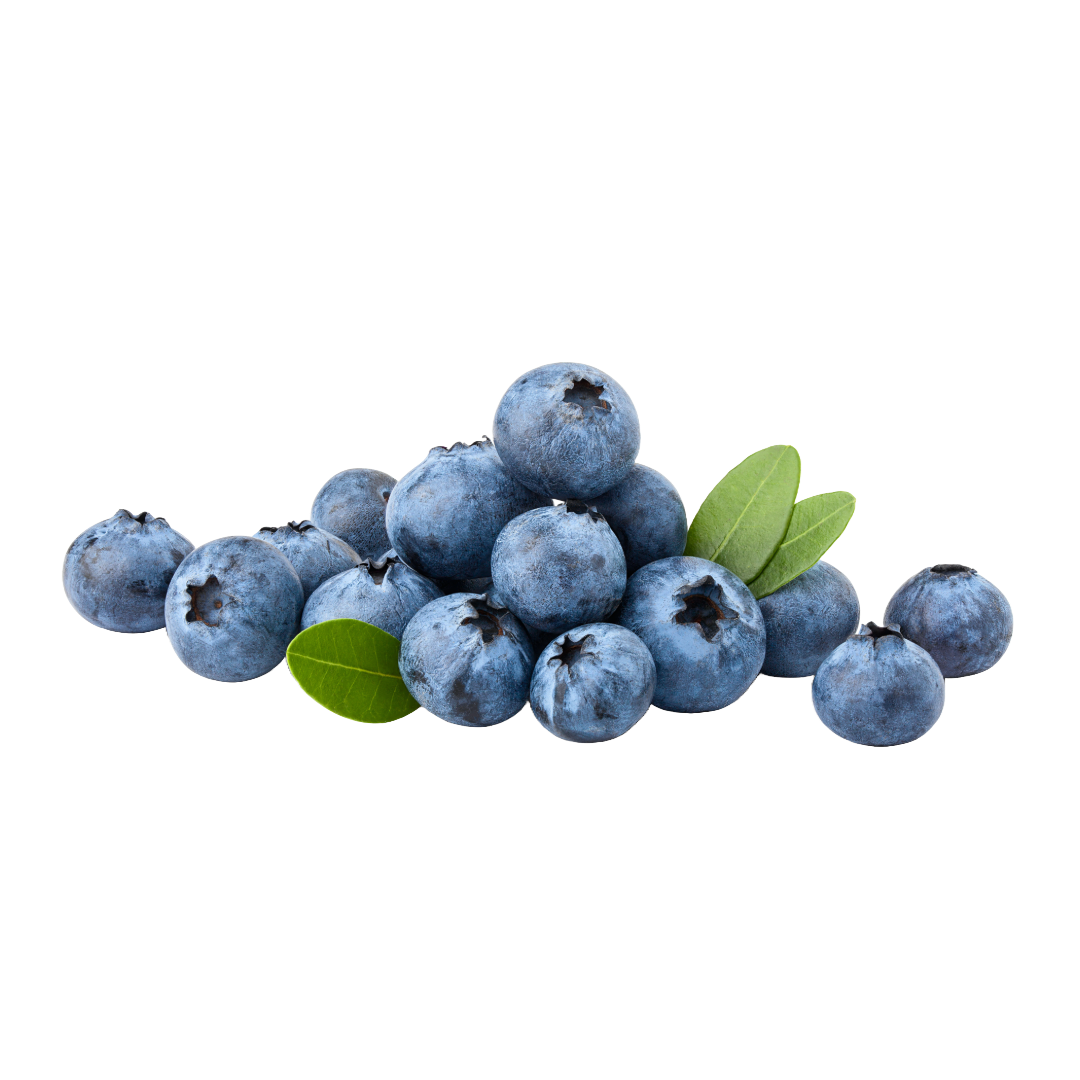Bio-Heidelbeeren