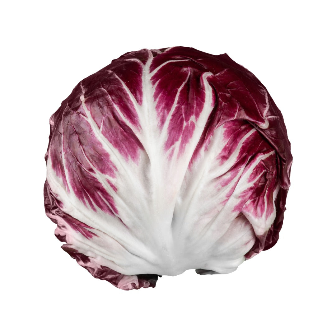 Bio-Radicchio