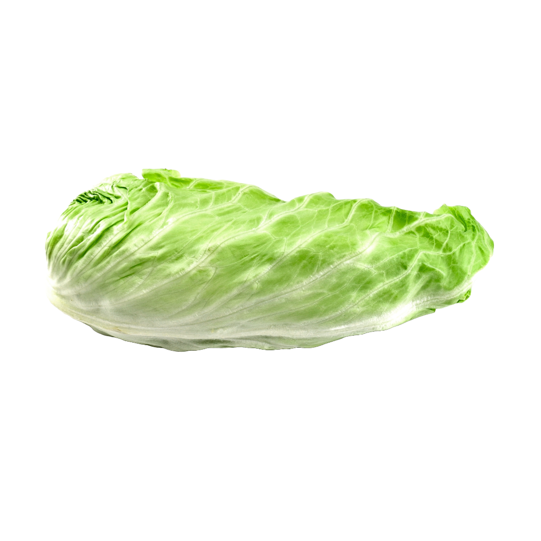 Bio-Zuckerhut