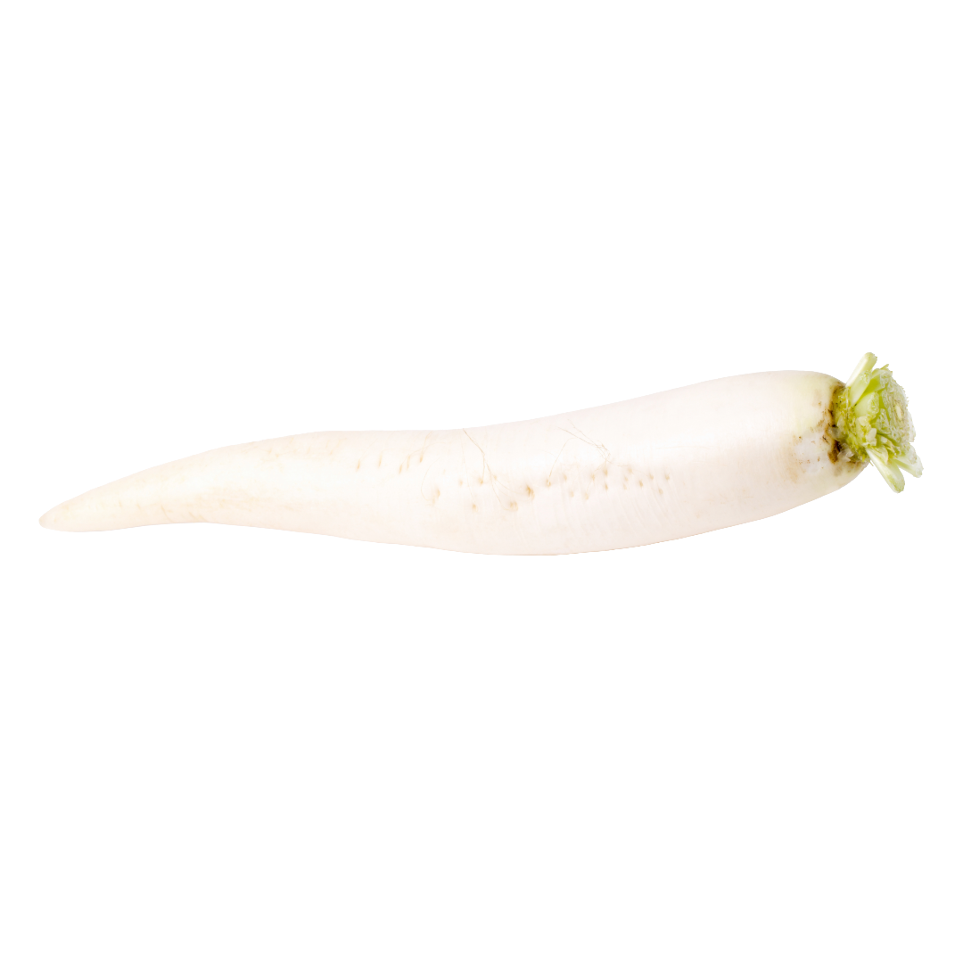 Bio-Rettich weiß