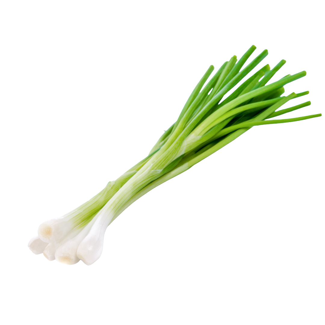 Bio-Frühlingszwiebel
