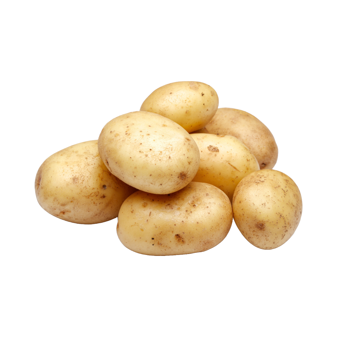 Bio-Kartoffel festkochend