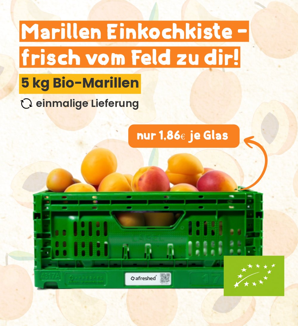 10kg Marillen Einkochkiste Basisartikel