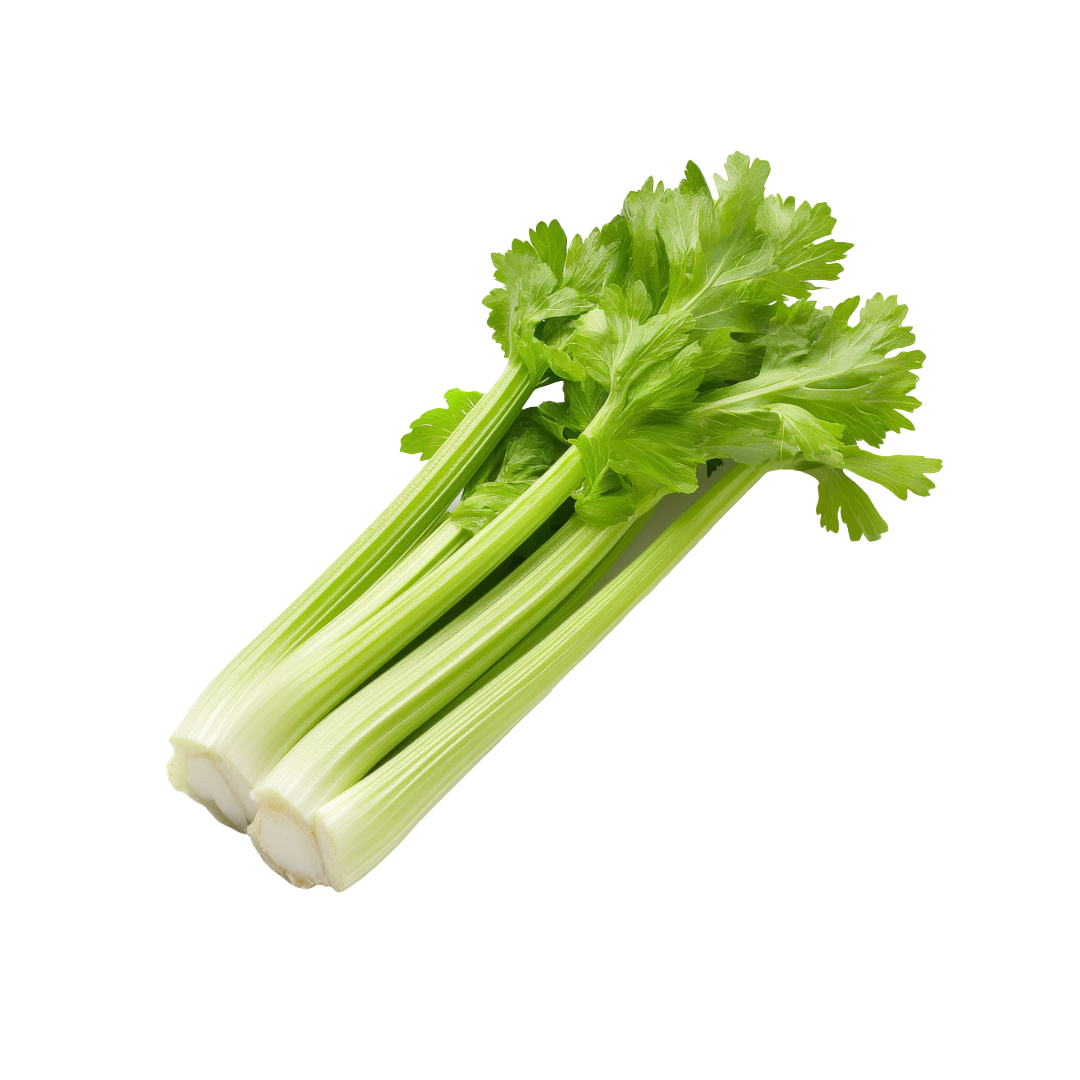 Bio-Stangensellerie