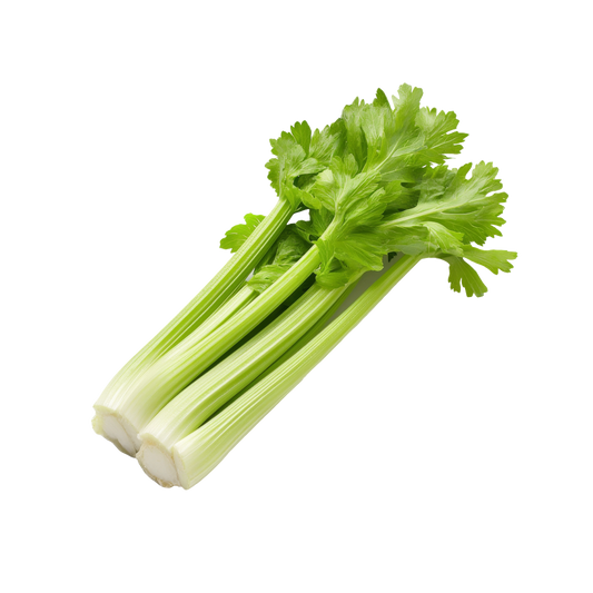 Bio-Stangensellerie