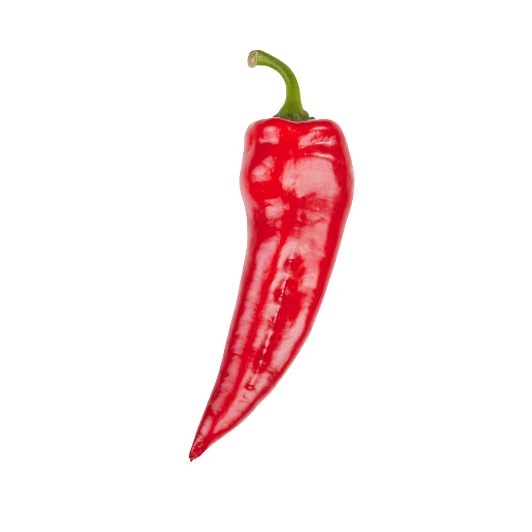 Bio-Spitzpaprika