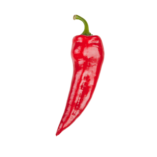 Bio-Spitzpaprika