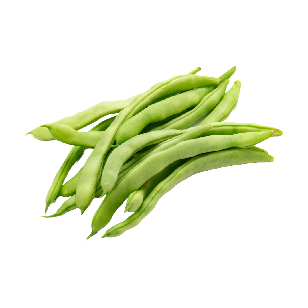 Bio-Fisolen
