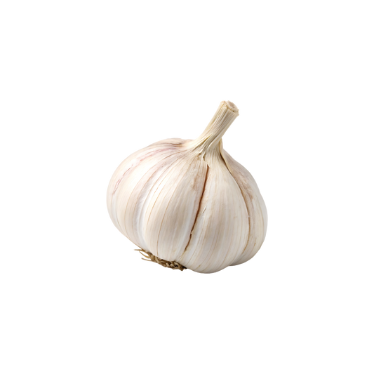 Bio-Knoblauch