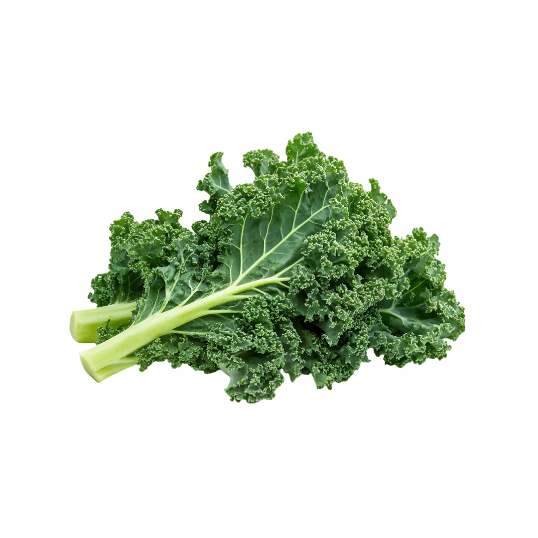 Bio-Grünkohl