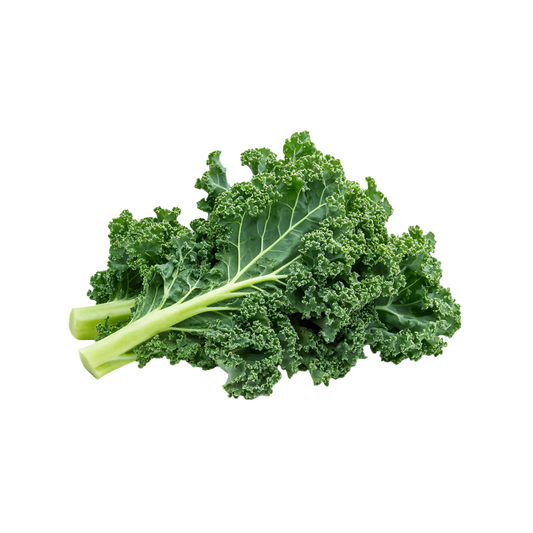 Bio-Grünkohl