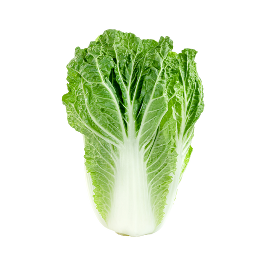 Bio-Chinakohl