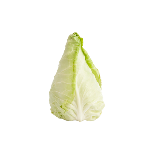 Bio-Spitzkraut