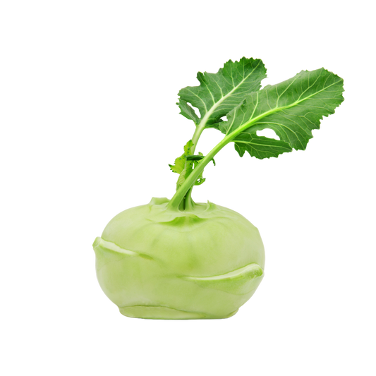 Bio-Kohlrabi
