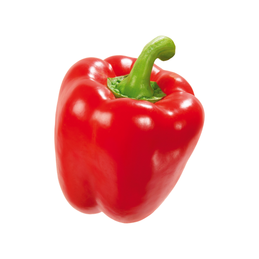 Bio-Blockpaprika