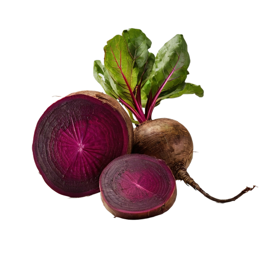 Bio-Roterübe