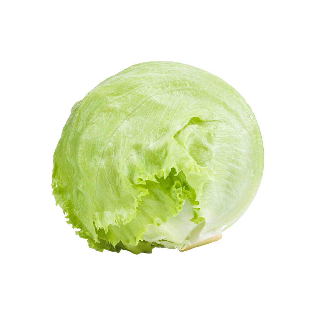 Bio-Eisbergsalat
