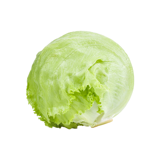 Bio-Eisbergsalat