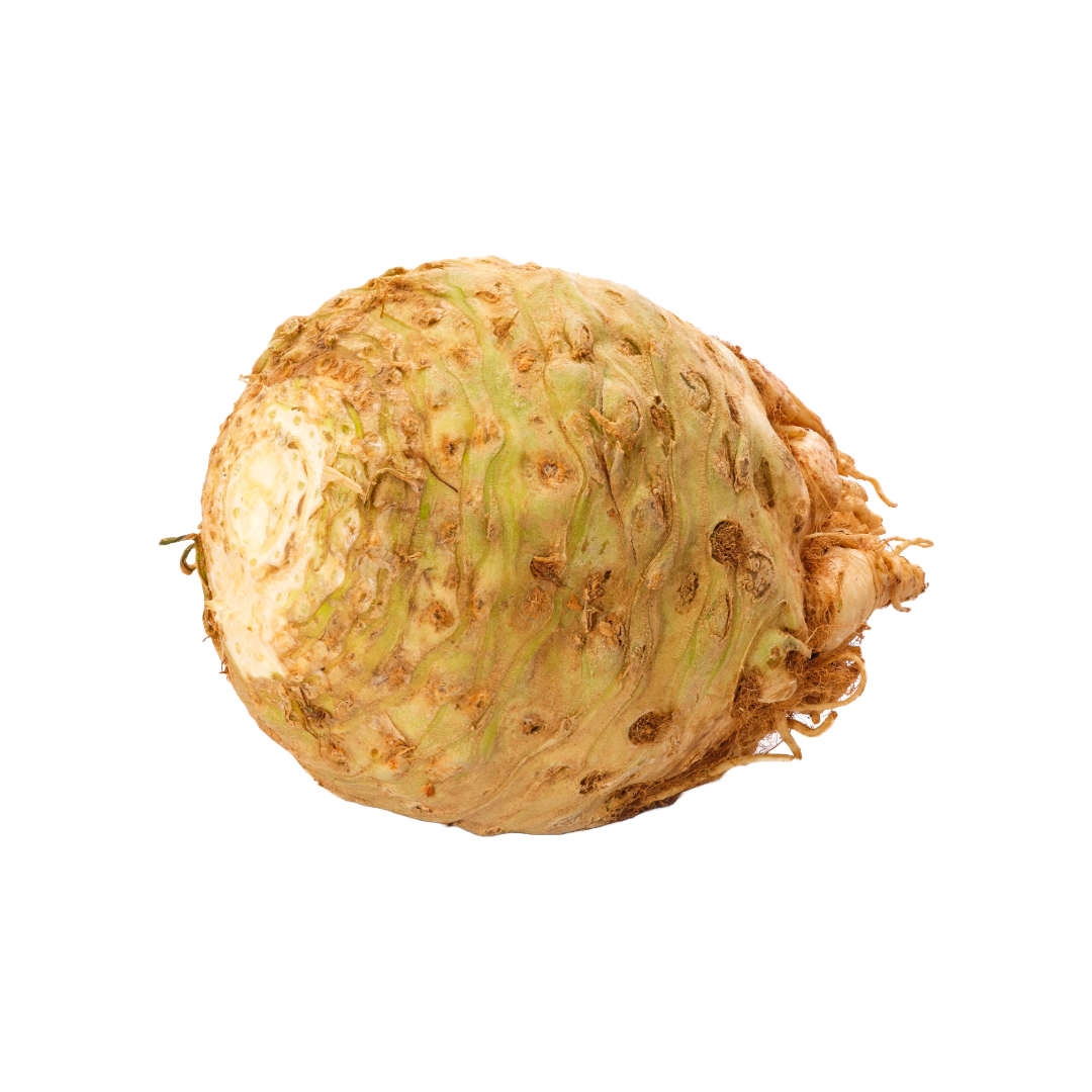 Bio-Knollensellerie