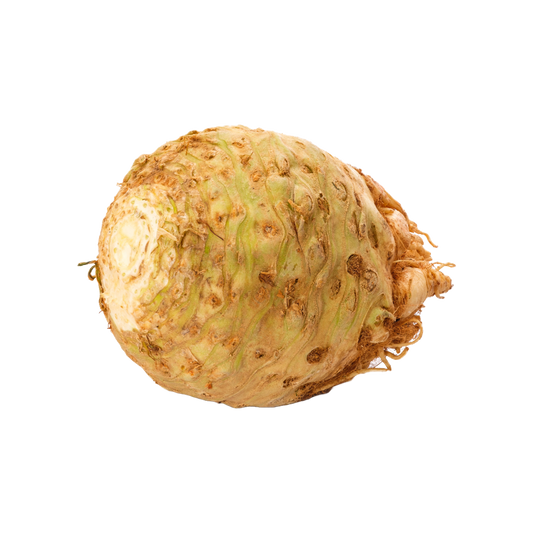 Bio-Knollensellerie