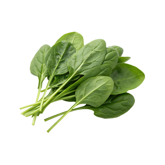 Bio-Blattspinat