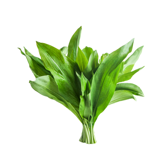 Bio-Bärlauch