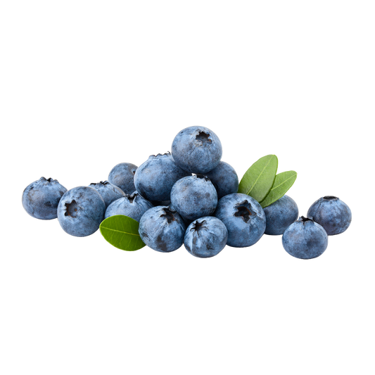 Bio-Heidelbeeren