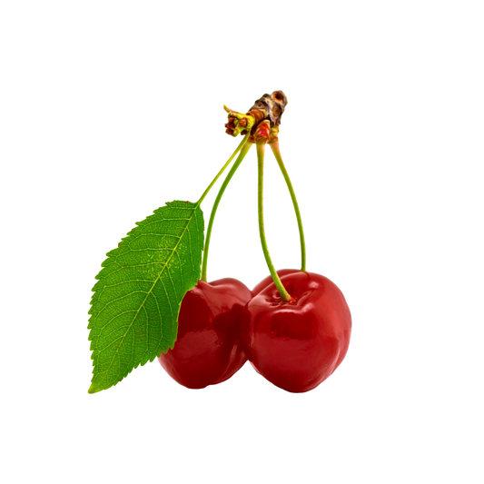 Bio-Kirschen