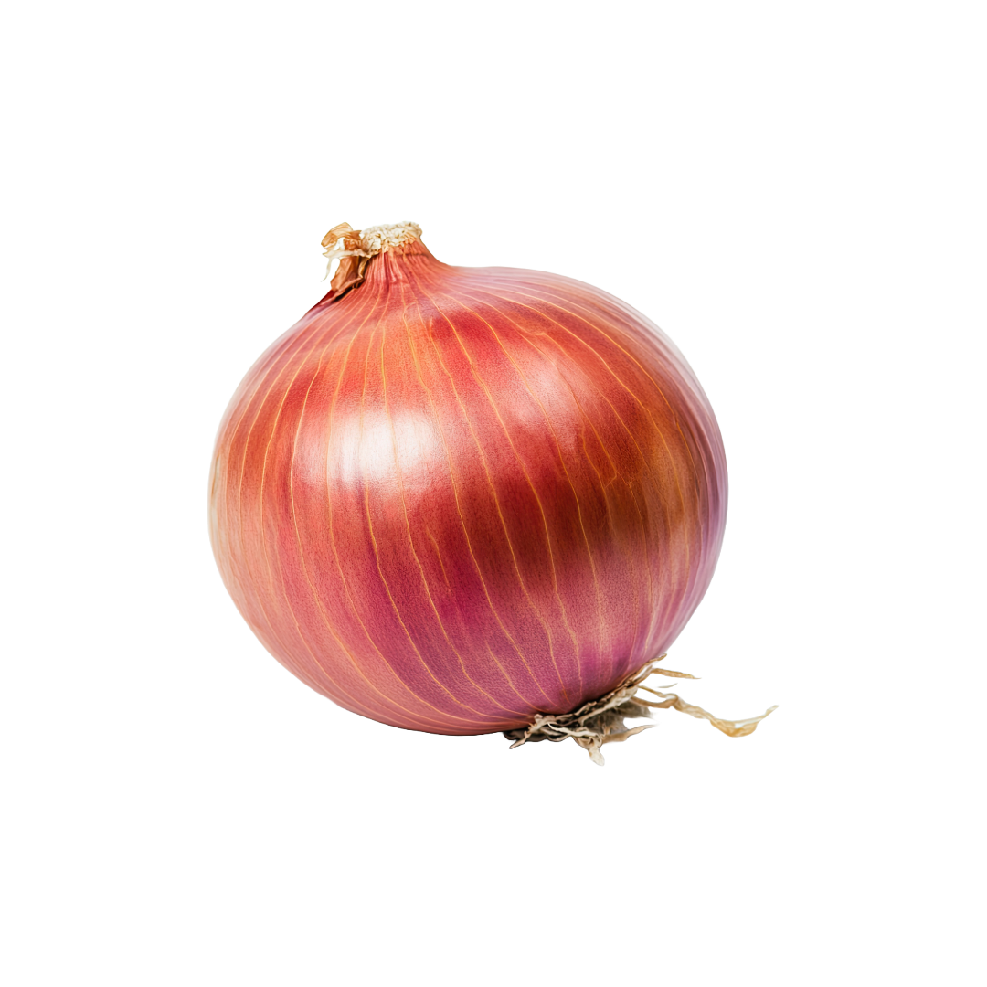 Bio-Zwiebel gelb