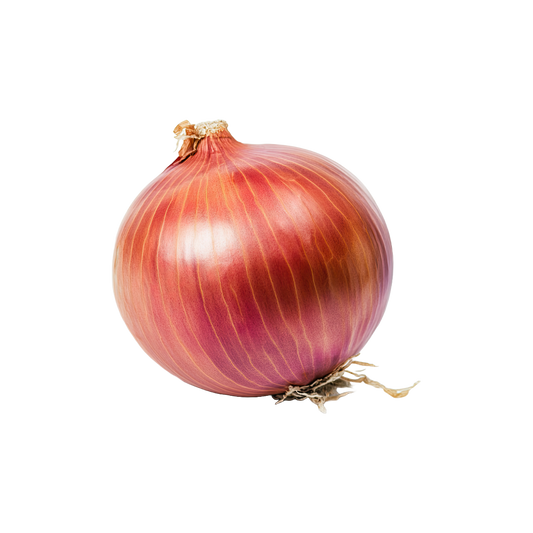 Bio-Zwiebel gelb