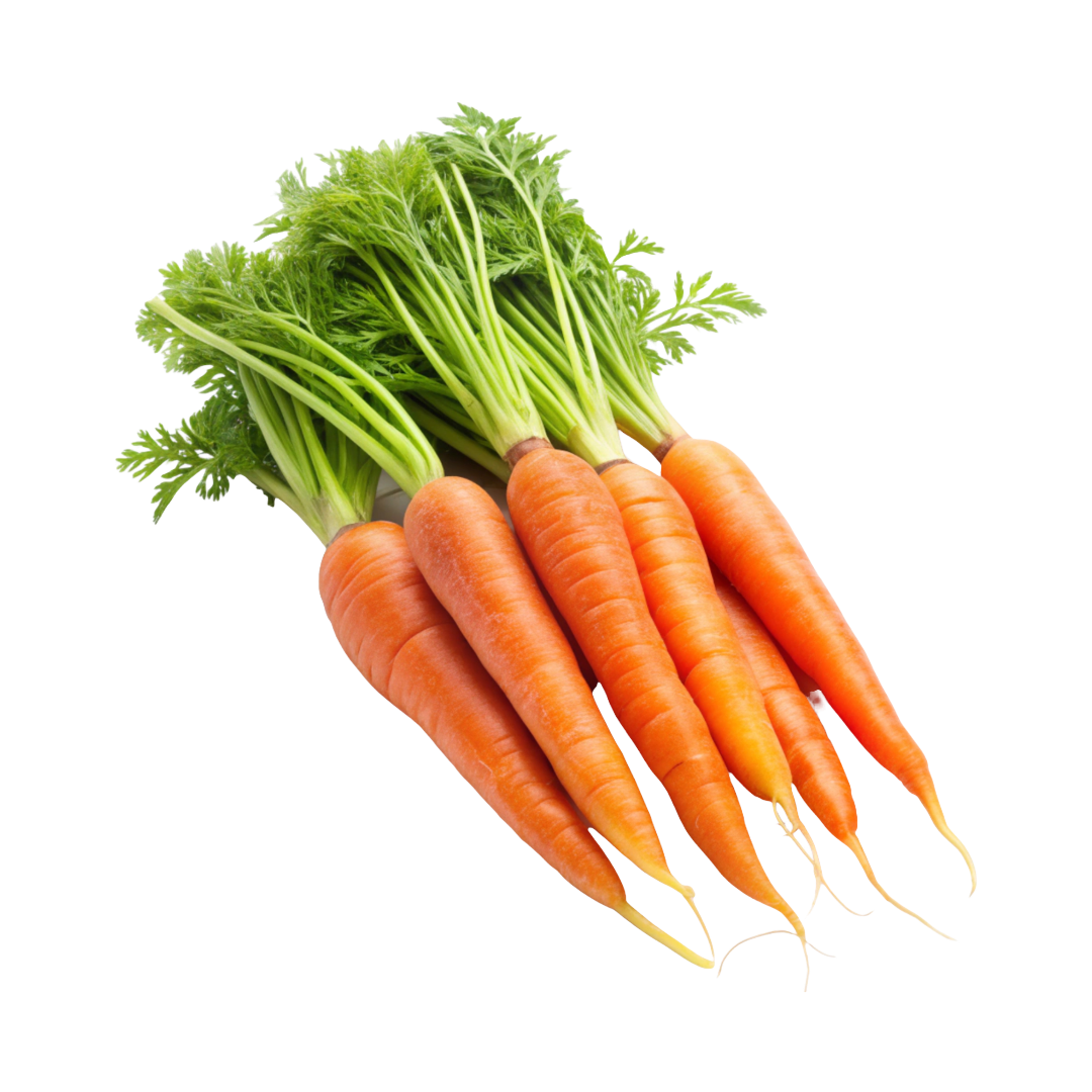 Bio-Karotten