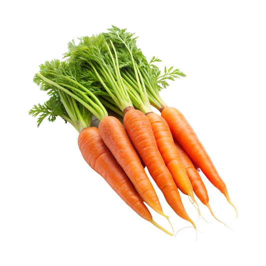 Bio-Karotten