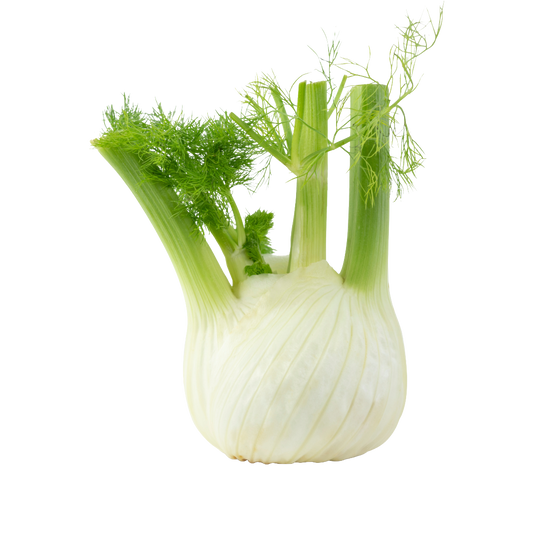 Bio-Fenchel
