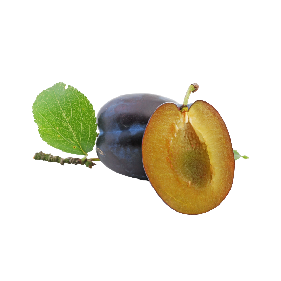Bio-Zwetchke