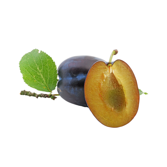 Bio-Zwetchke