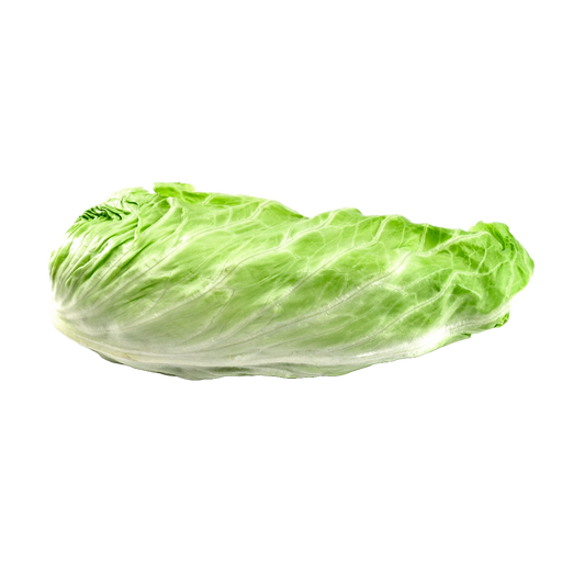 Bio-Zuckerhut