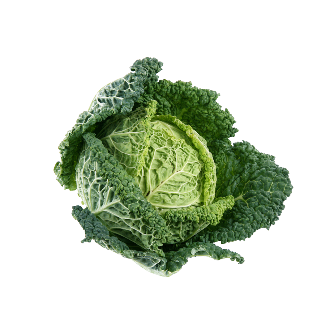 Bio-Wirsingkraut