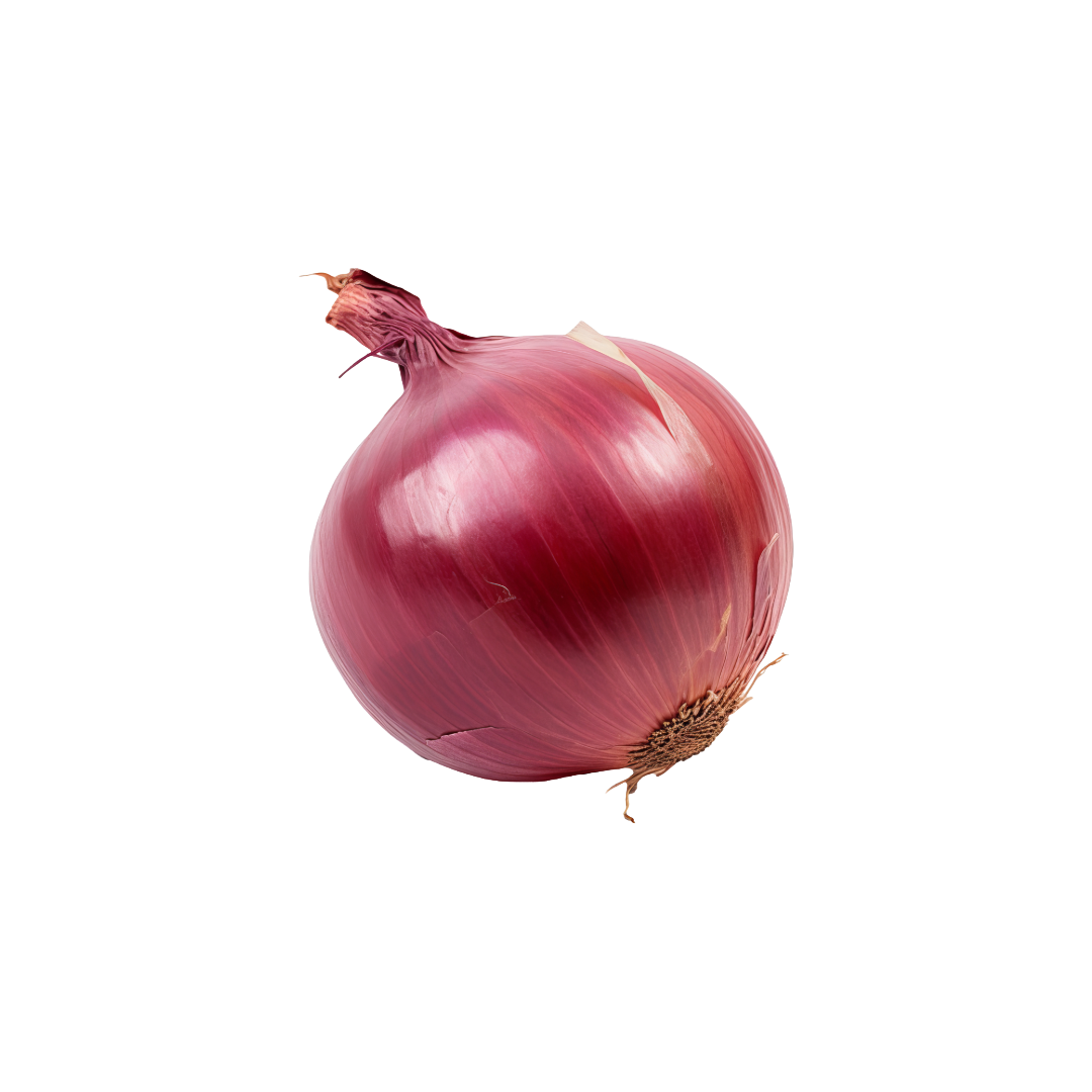 Bio-Zwiebel rot