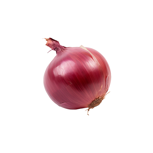Bio-Zwiebel rot