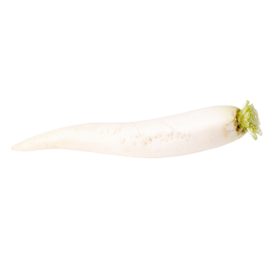Bio-Rettich weiß