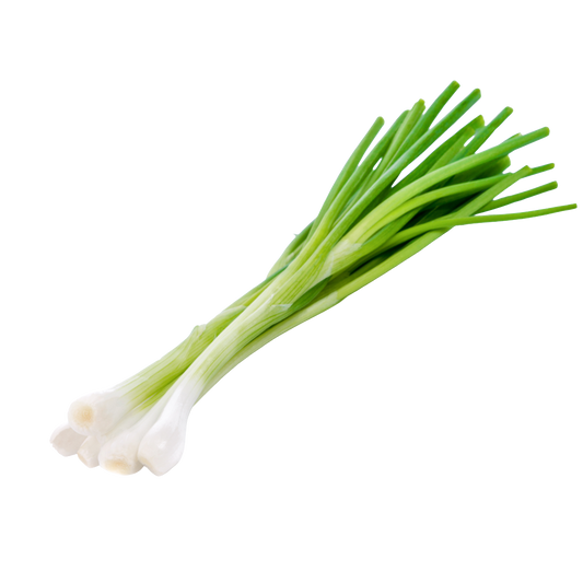 Bio-Frühlingszwiebel